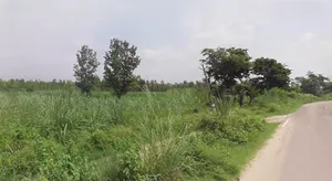 Sunderpur, Uttar Pradesh 247662, India preview 3