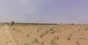 Bhanipura, Rajasthan 334024, India preview 2