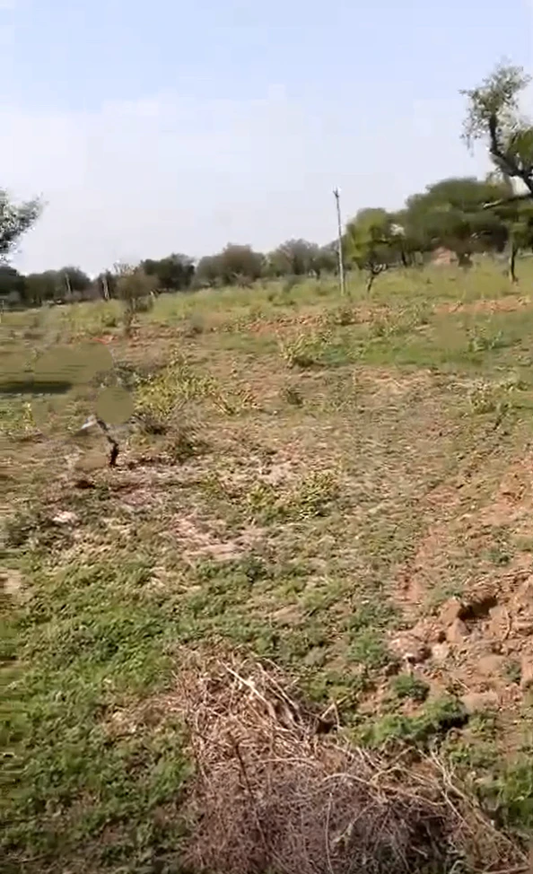 CVH5+MG6, Hathora, Rajasthan, India