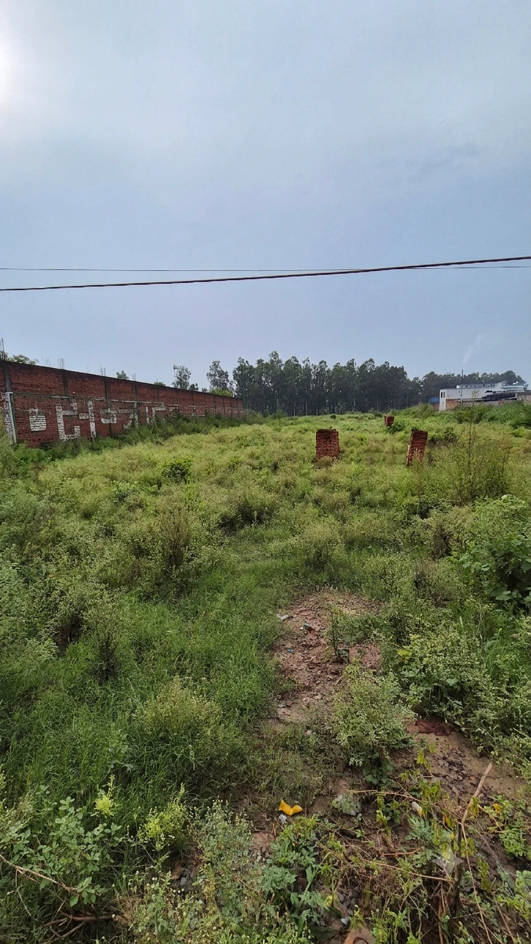 QGJC+755, Yusufpur Manota, Uttar Pradesh, India