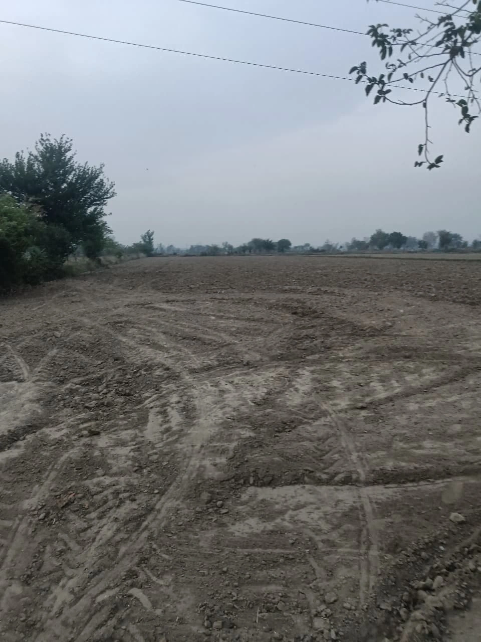 Pinan, Rajasthan, India