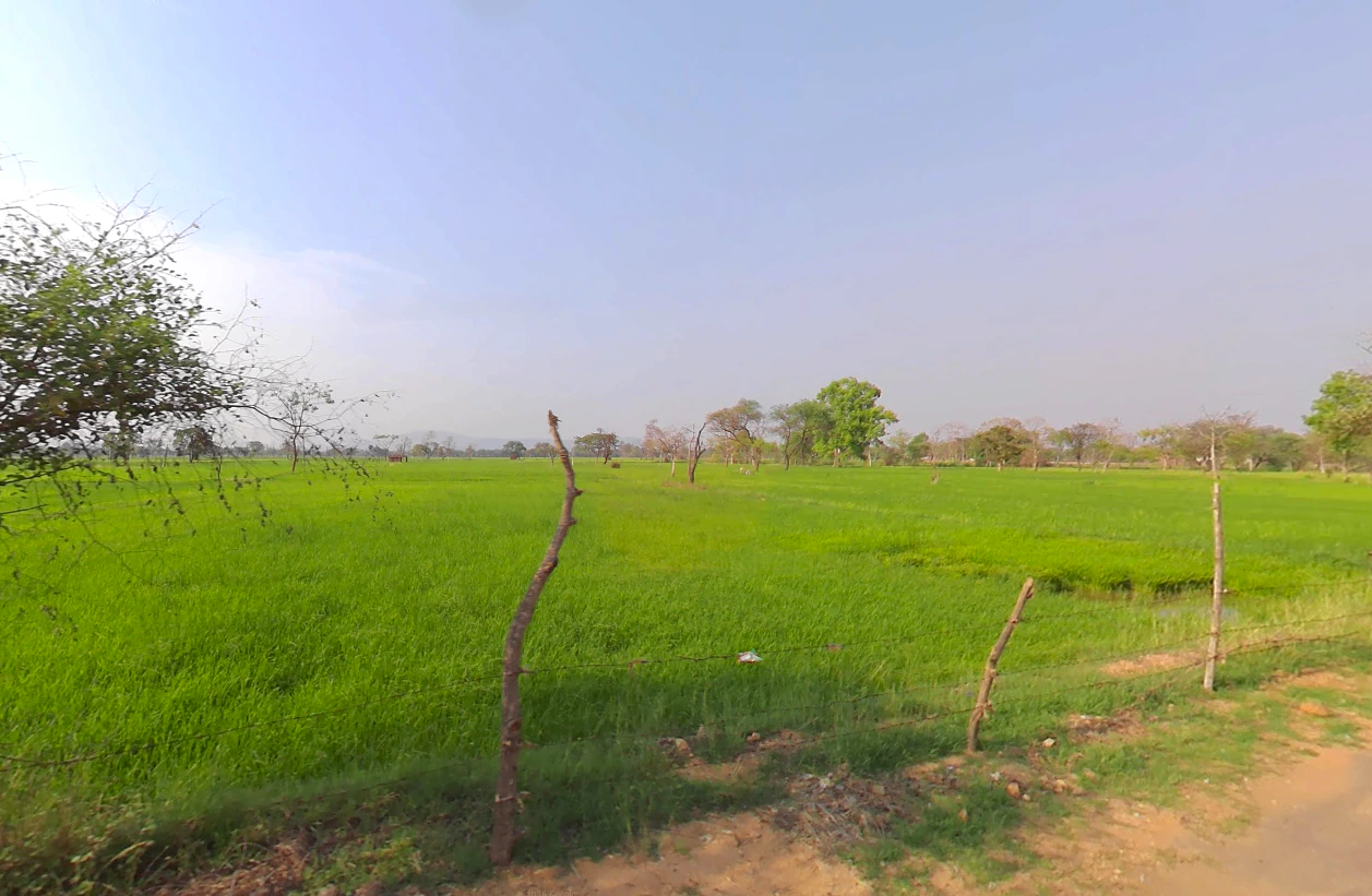 Pirda-2, Chhattisgarh 493111, India