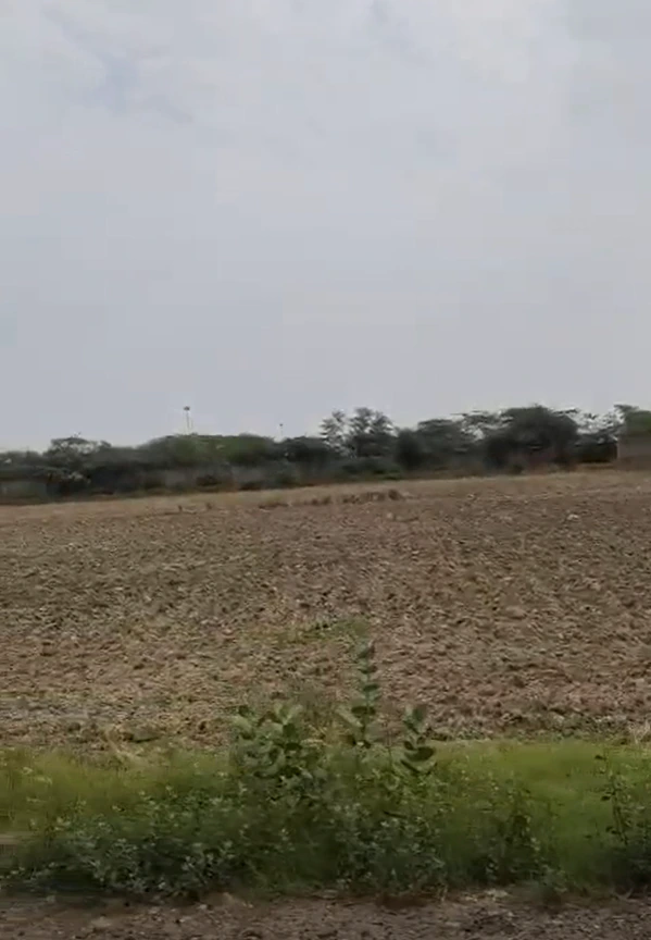 VR74+RJ Shankarpur, Rewa, Madhya Pradesh, India