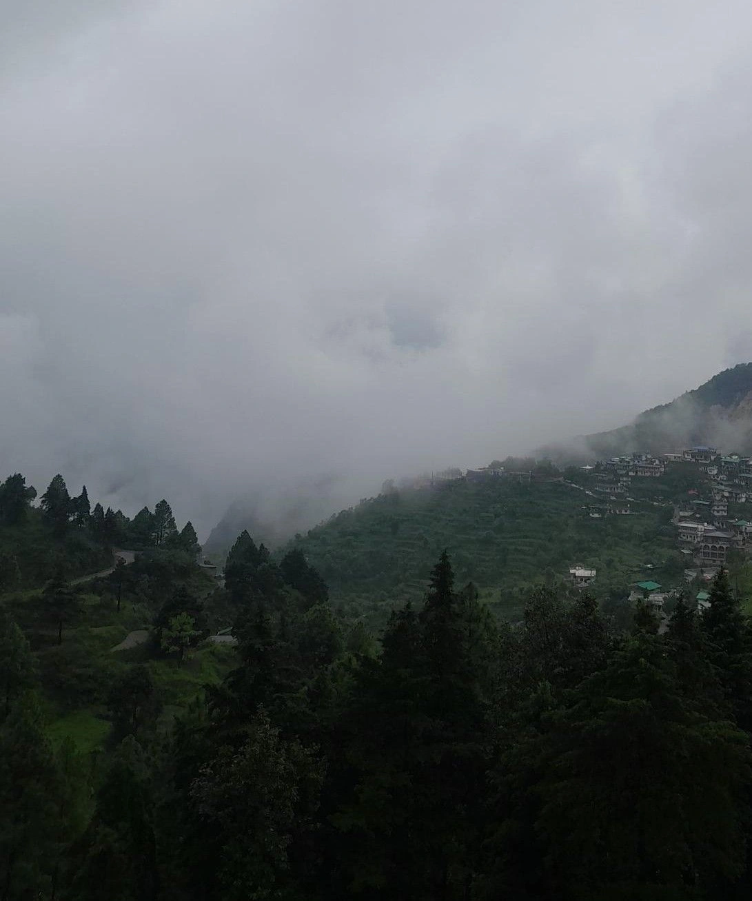 Tani, Uttarakhand 263643, India