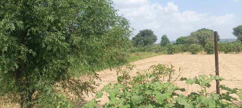 H3MR+425, Mahatgaon, Rajasthan, India preview 3