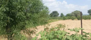H3MR+425, Mahatgaon, Rajasthan, India preview 3