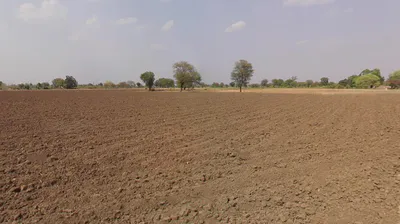 46F5+5GW, Siya Khedi, Madhya Pradesh 473287, India preview 3