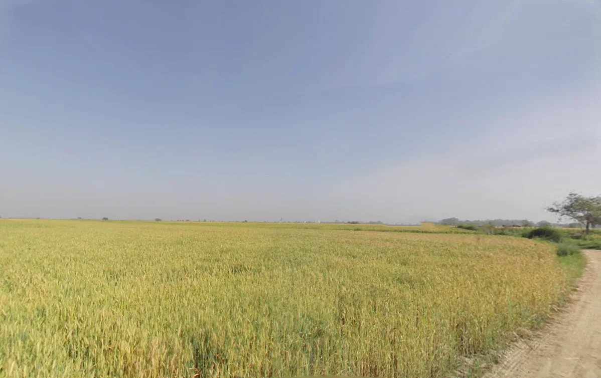 Wazirabad, Delhi, India preview 3