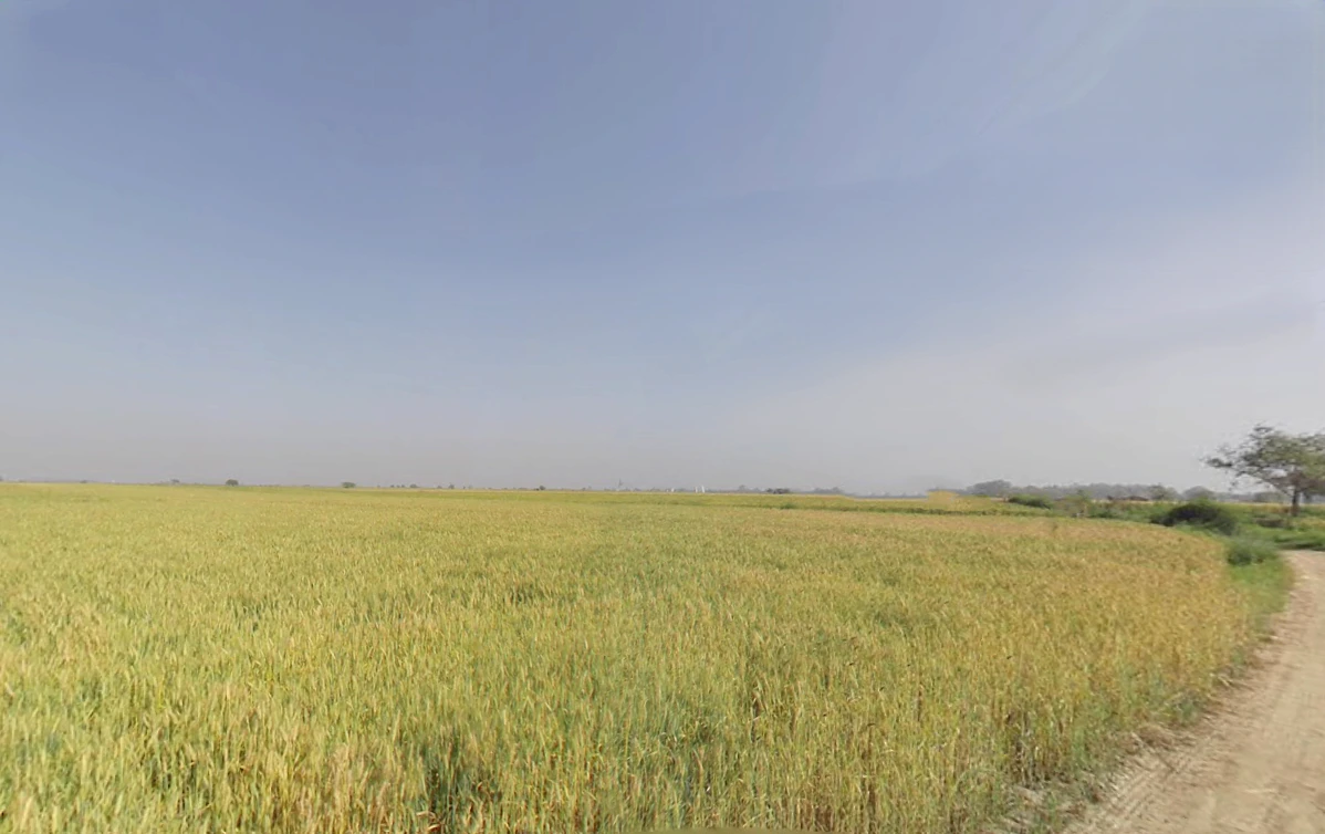 Wazirabad, Delhi, India