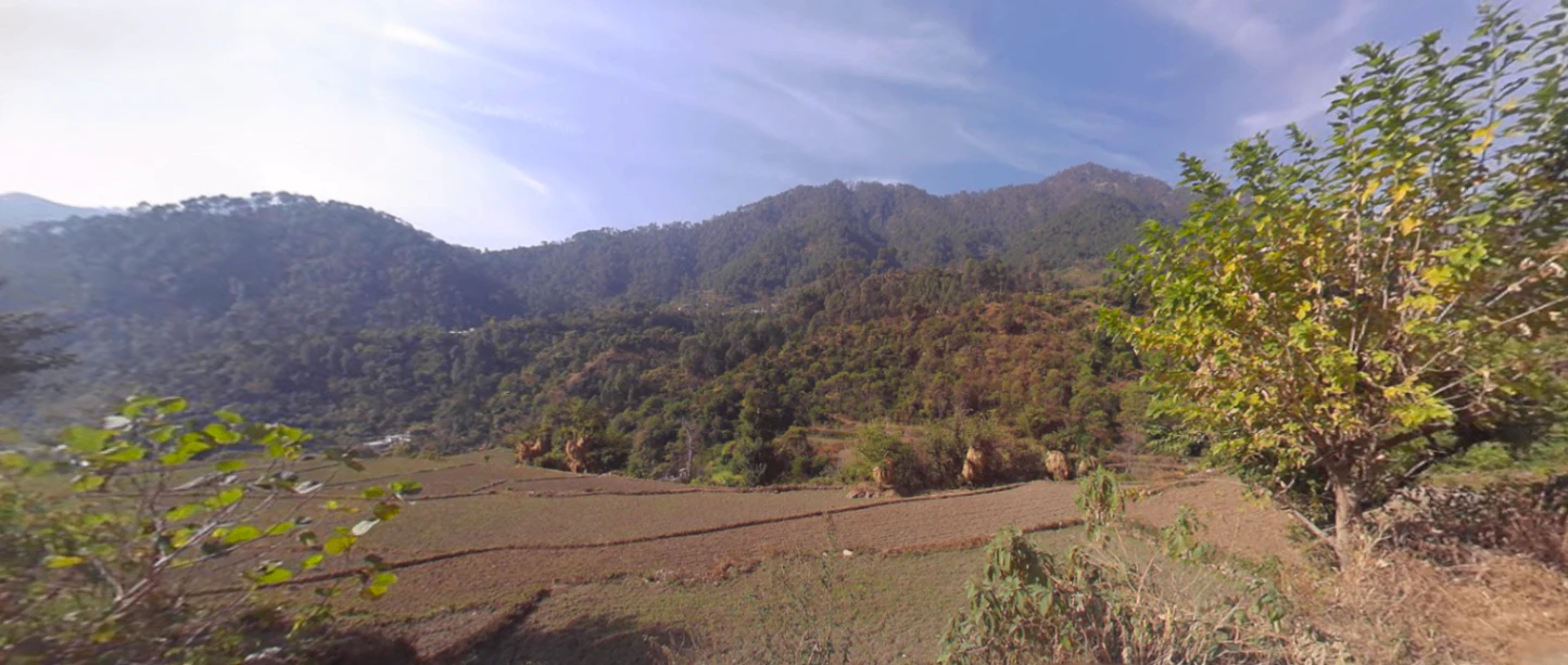 Jalna, Uttarakhand 263625, India
