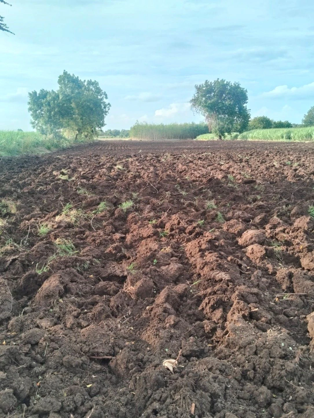 Aliganj, Raisen, Madhya Pradesh, India