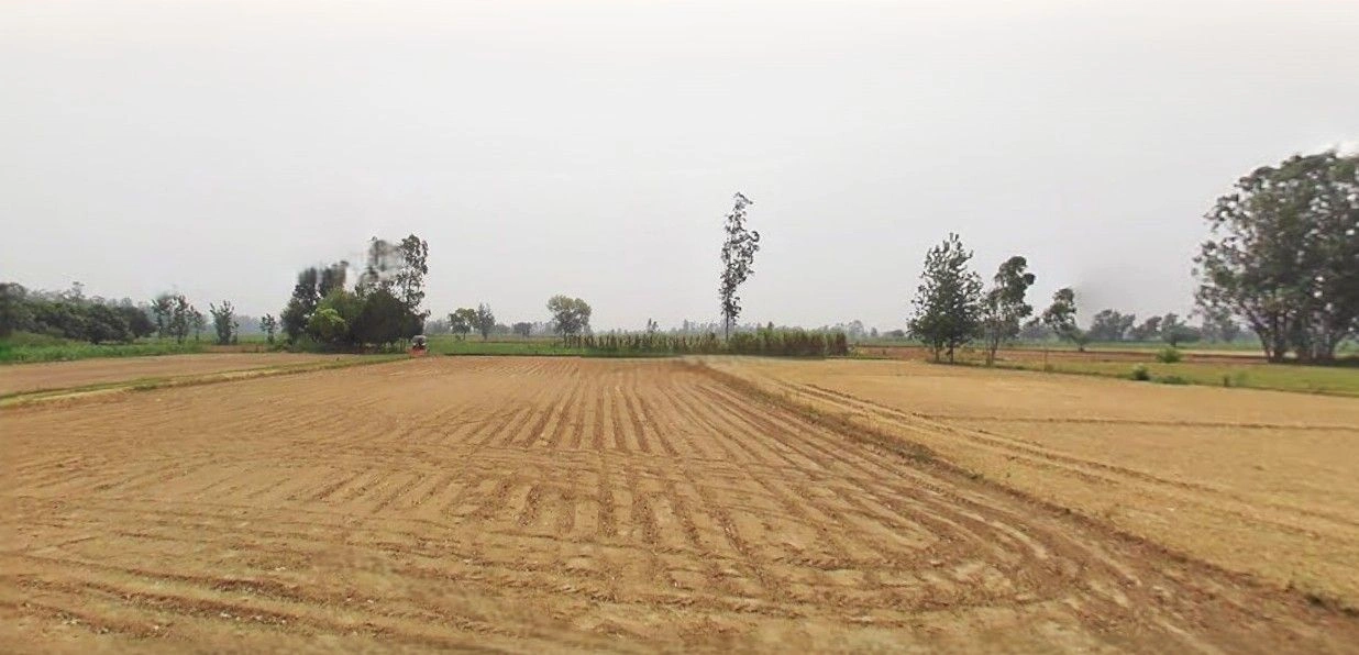 Jalesar, Uttar Pradesh 207302, India