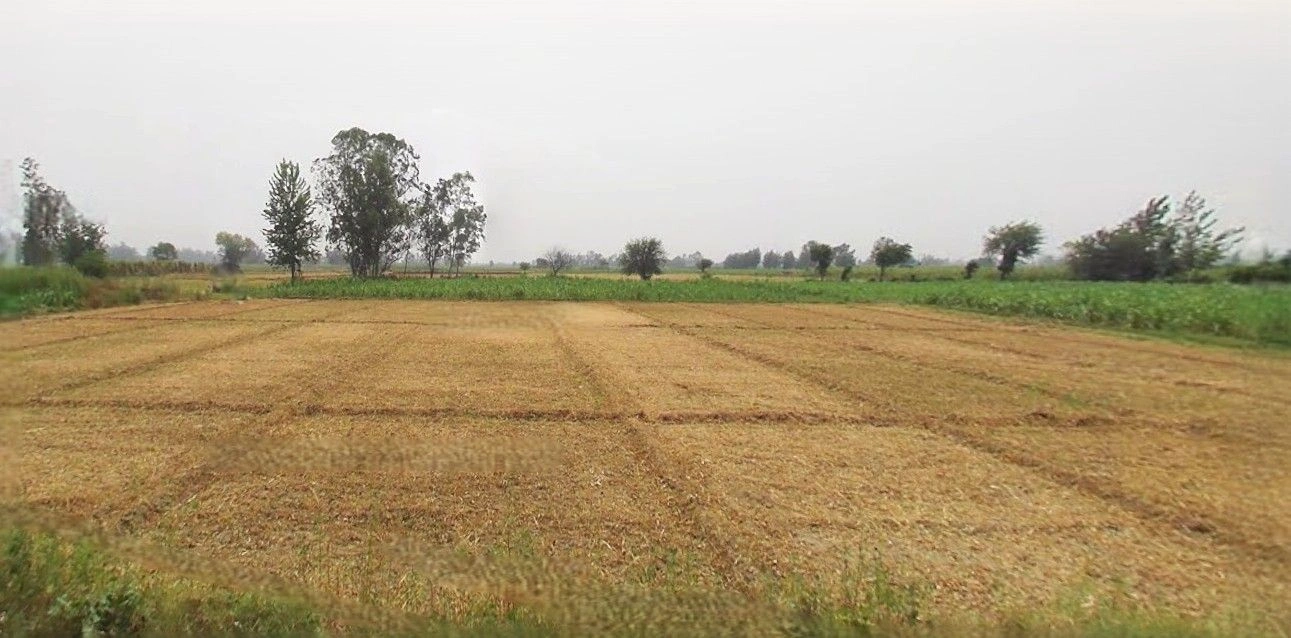 Lalganj, Uttar Pradesh 229206, India