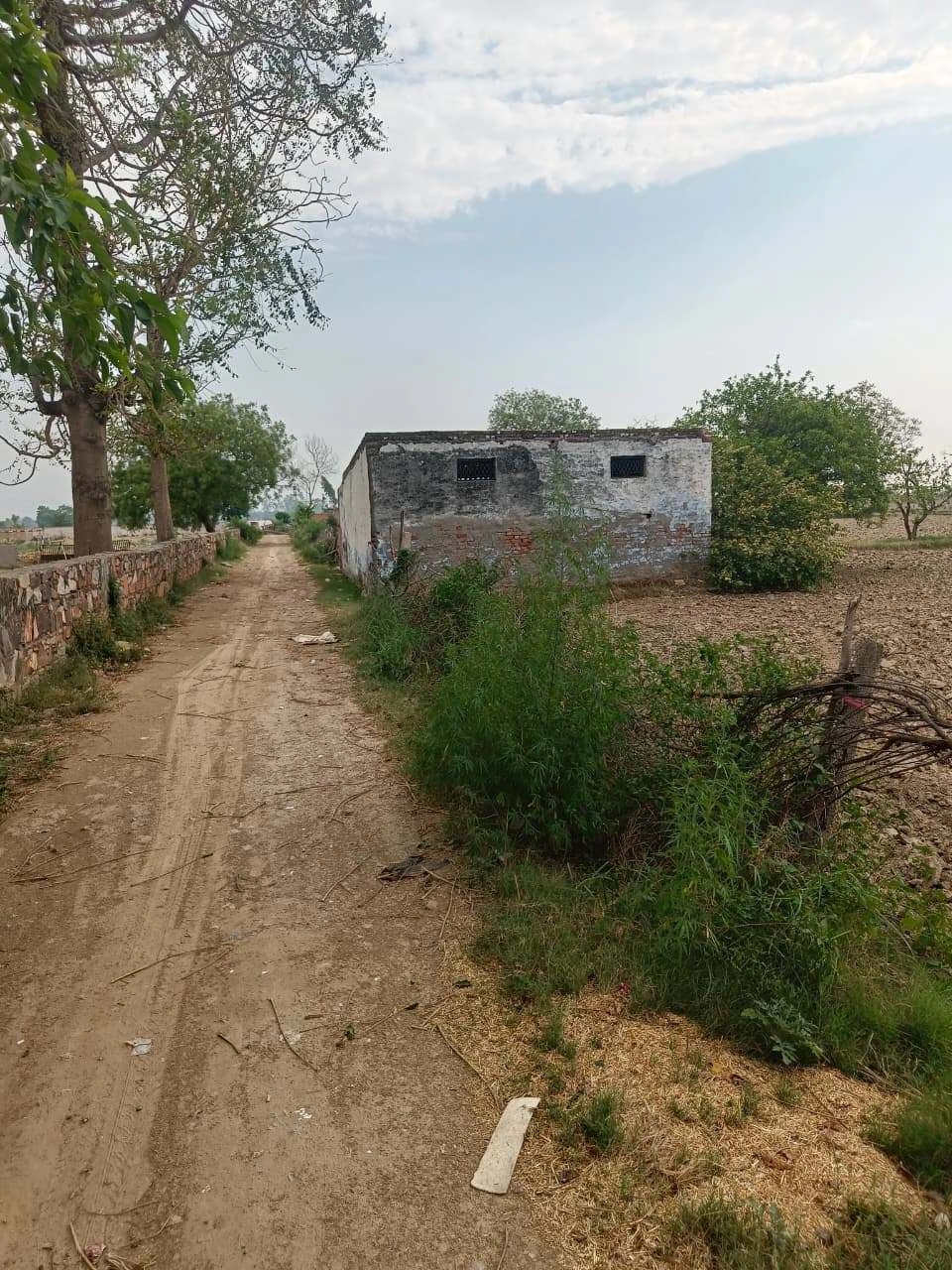Chhata, Uttar Pradesh 281401, India