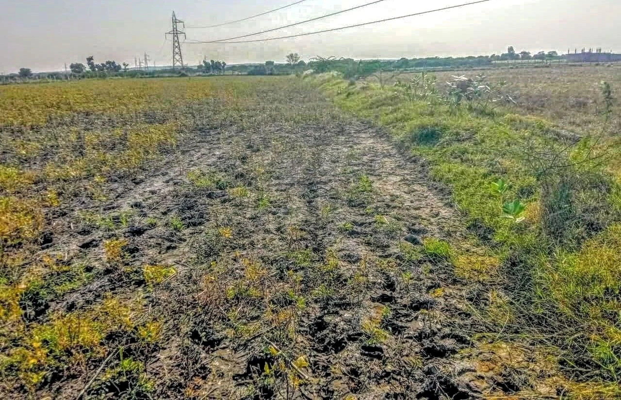 Kuwarti, Rajasthan 323001, India