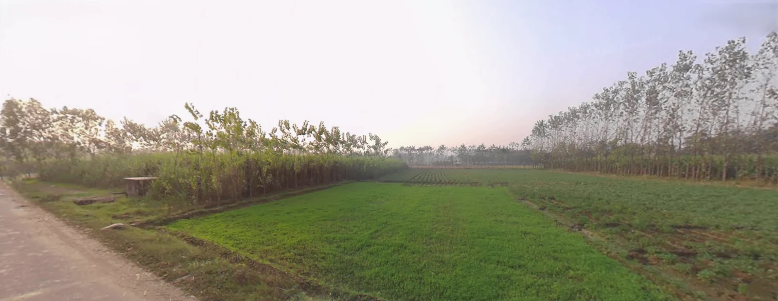 Bhagwanpur, Uttarakhand 247661, India