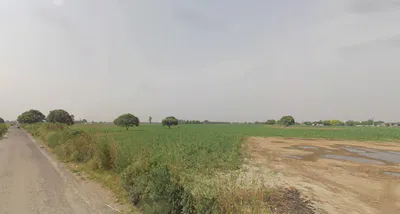 Lakhimpur, Uttar Pradesh 262701, India preview 3