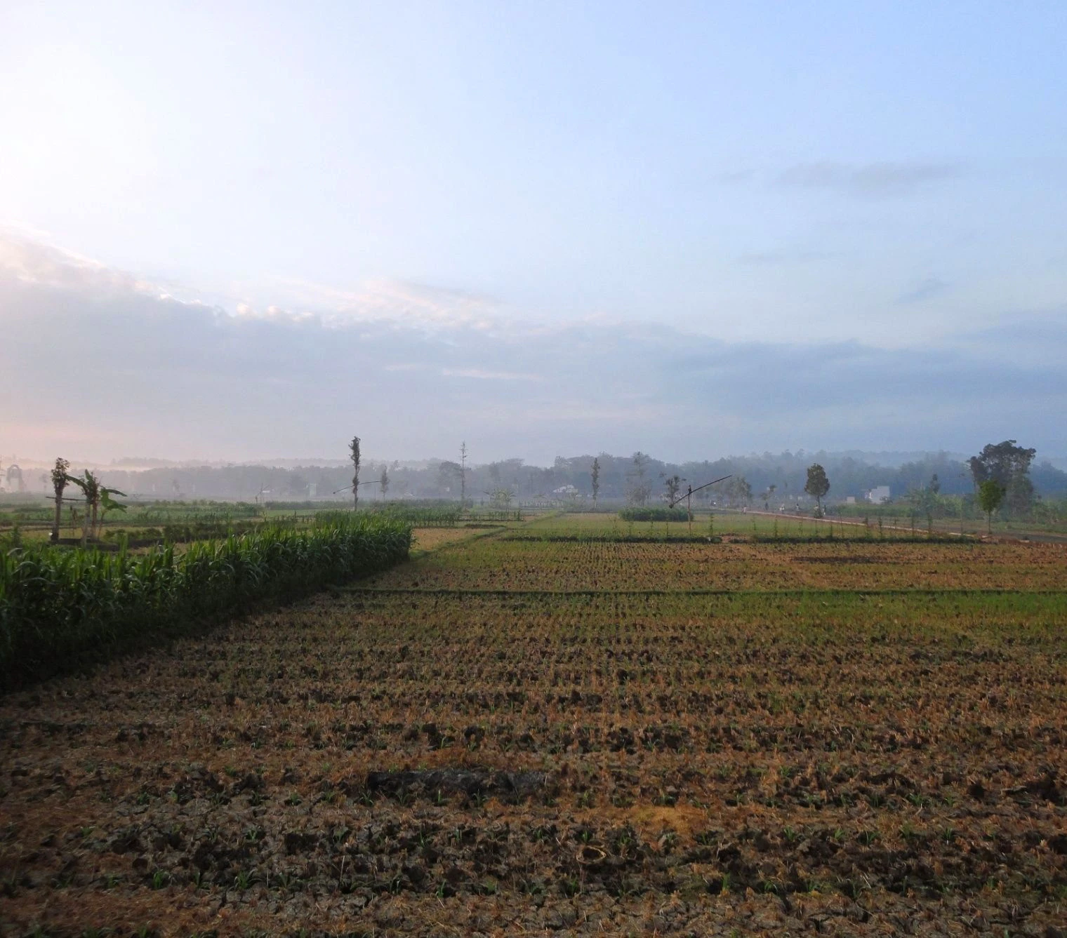 Bilsanda, Uttar Pradesh 262202, India