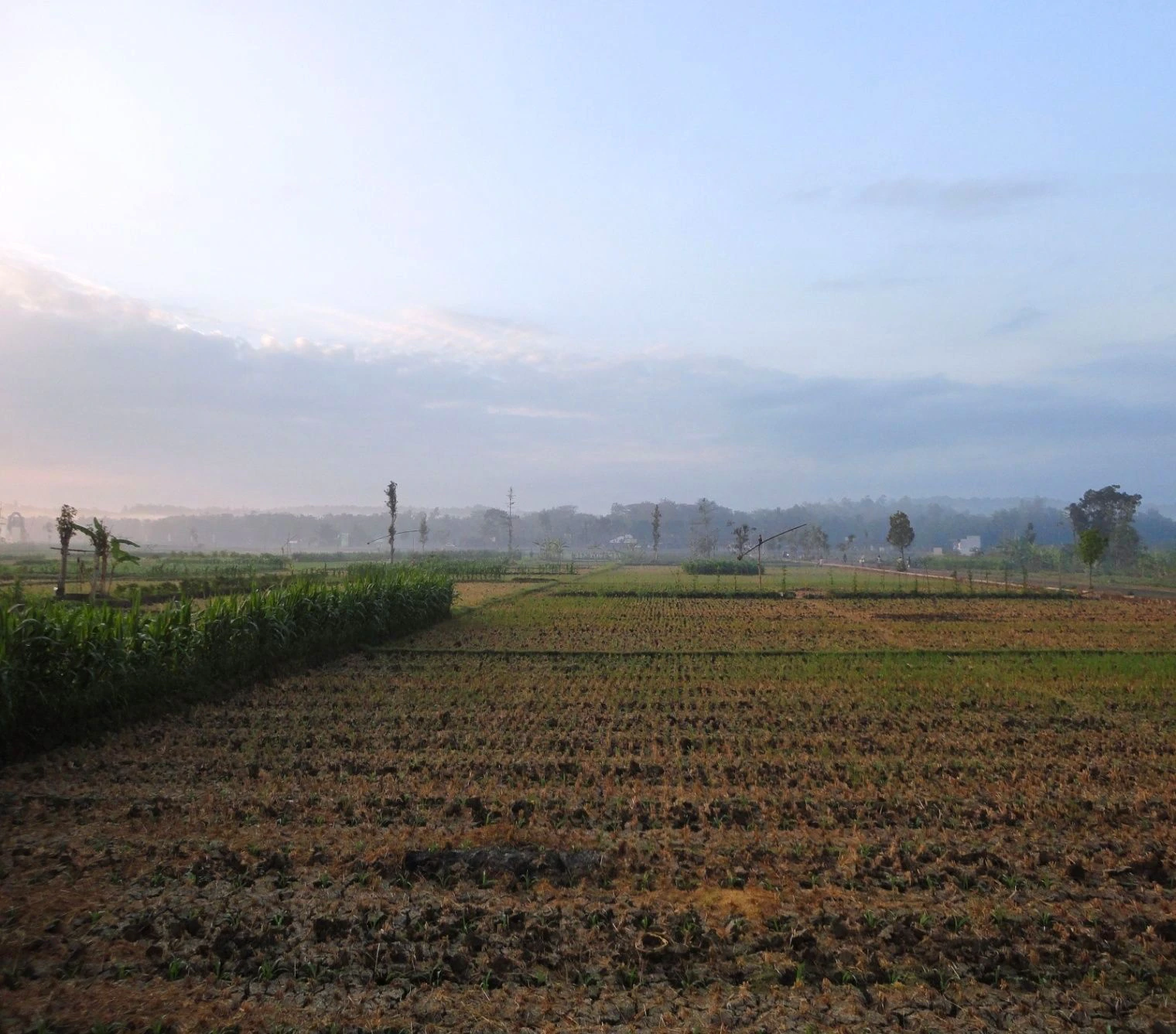 Bilsanda, Uttar Pradesh 262202, India