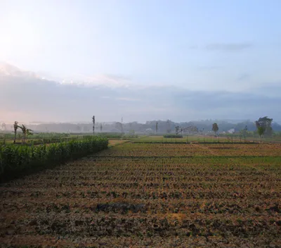 Bilsanda, Uttar Pradesh 262202, India preview 4