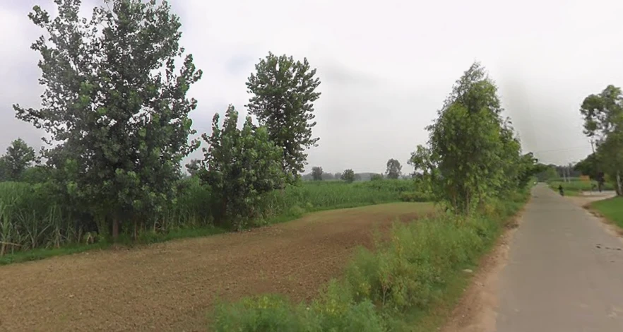 Miranpur, Uttar Pradesh 251315, India