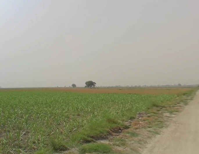 Hastinapur, Uttar Pradesh 250404, India