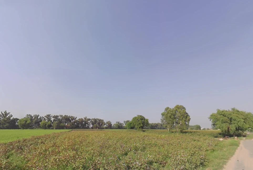 Nanuana, Haryana 125076, India