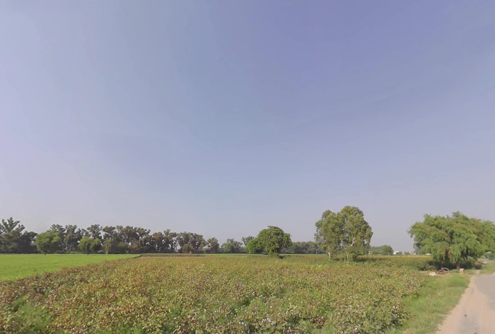 Nanuana, Haryana 125076, India