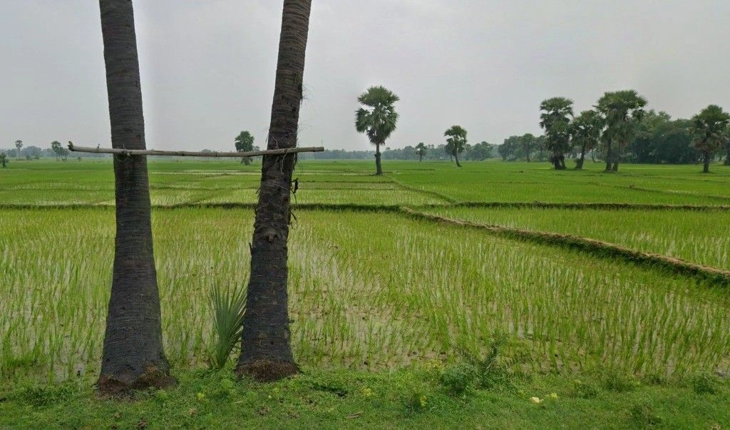 MC95+GGR, Deorbeeja, Chhattisgarh 491993, India preview 3