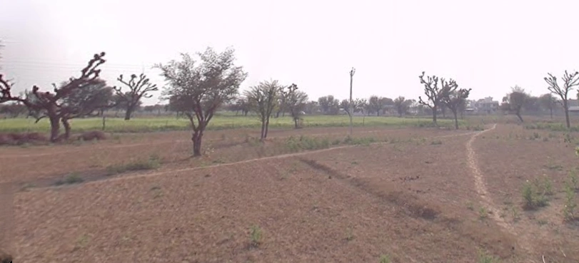 Maganpur, Rajasthan 332601, India