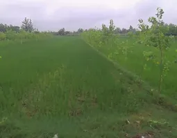 Budhana - Muzaffarnagar Rd, Muzaffarnagar, Uttar Pradesh, India preview 3