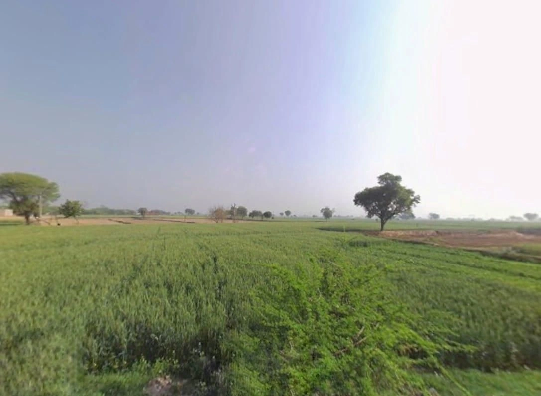 HW9P+MP3, Sahejpur, Rajasthan 301026, India