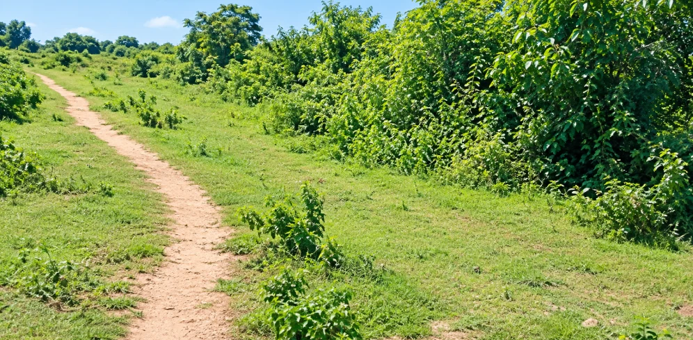 venkatesh, Yadadri Bhuvanagiri, 3-88, above Chiluka, Turkapalli, Gopalpur, Telangana 508117, India
