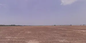 Mall Rd, Ludhiana, Punjab 141001, India preview 3