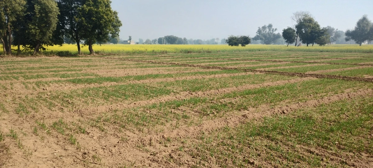 Seetal, Rajasthan 301021, India