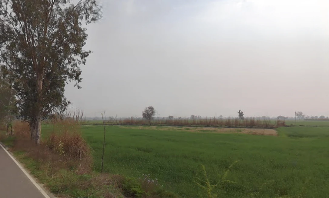 Salimsar Majra, Haryana 131022, India