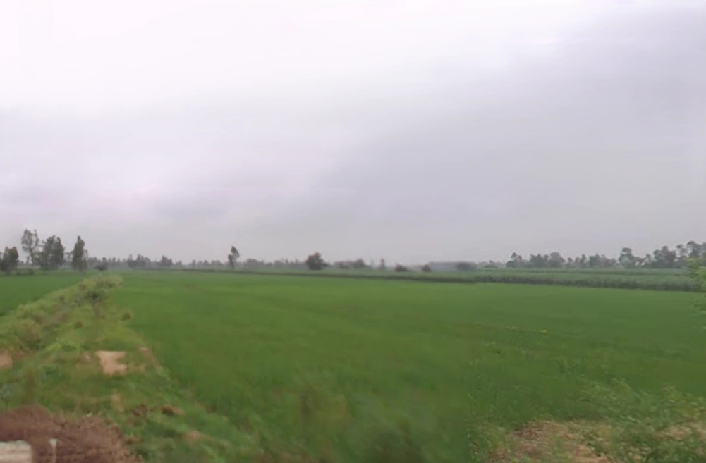 Luhari, Uttar Pradesh 245205, India