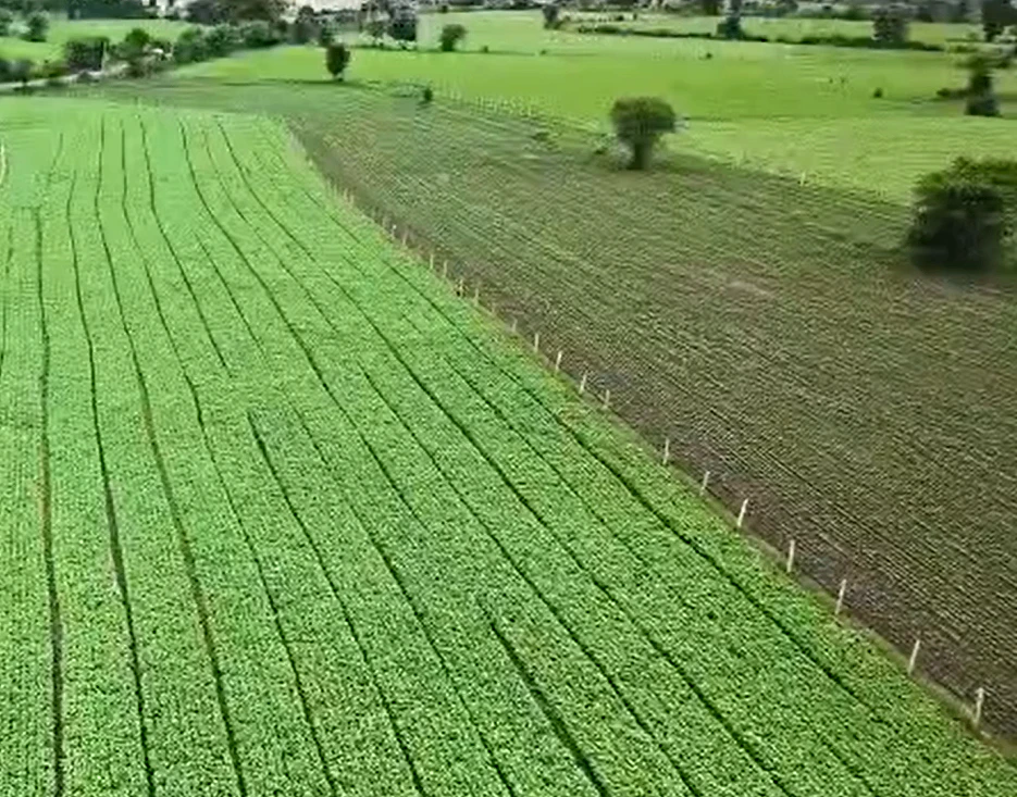 DewanGanj, Raisen, Madhya Pradesh 464651, India
