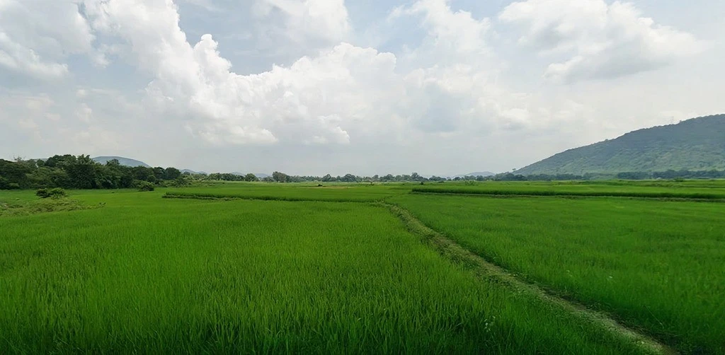 Chauka, Jharkhand, India