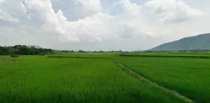 Chauka, Jharkhand, India preview 2