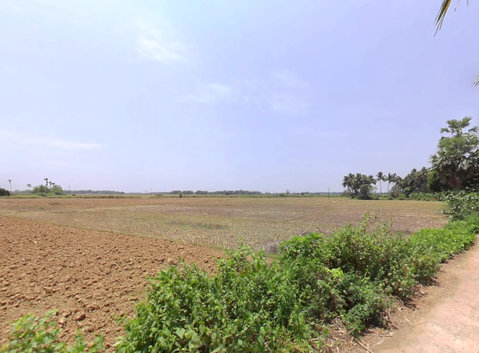 Kantilo, Odisha 752078, India