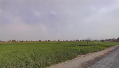 FRRX+G3Q, Bedha, Rajasthan 301021, India preview 3