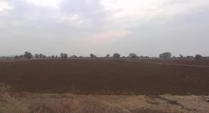 Godhavi, Gujarat 382115, India preview 3