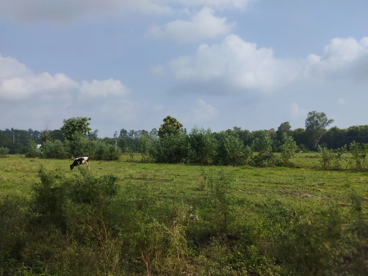 Modinagar - Sonda Rd, Sonda, Uttar Pradesh 201204, India