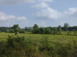 Modinagar - Sonda Rd, Sonda, Uttar Pradesh 201204, India preview 2