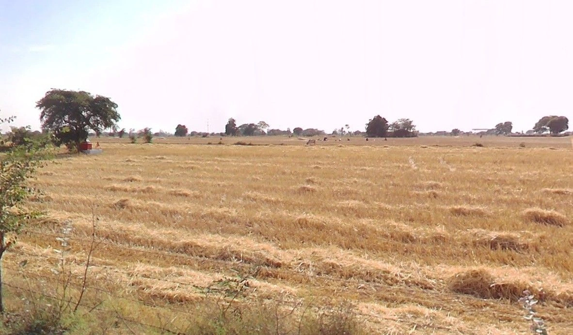 Atari Khejda, Madhya Pradesh 464001, India