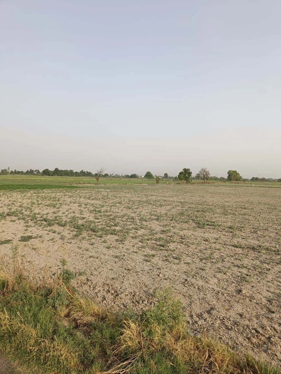 Tentigaon, Uttar Pradesh, India preview 2