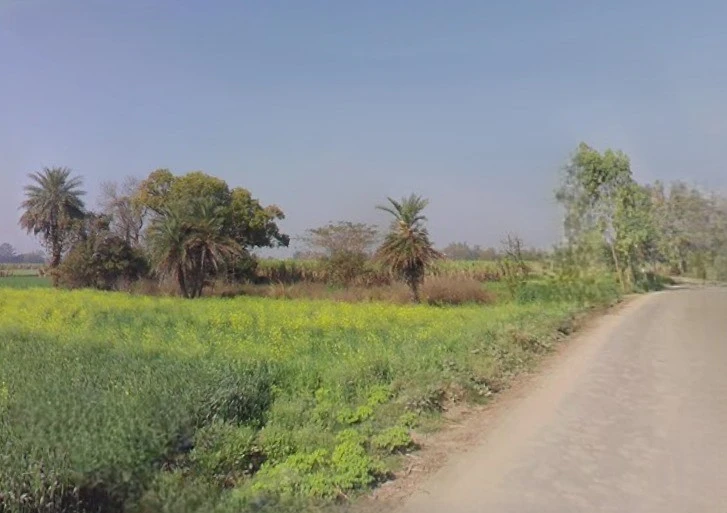 Mawana, Uttar Pradesh, India