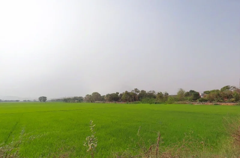 Tipani, Chhattisgarh 493770, India preview 3