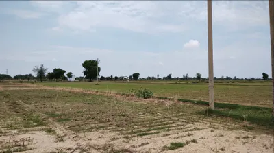 Ganaur, Haryana 131101, India preview 2